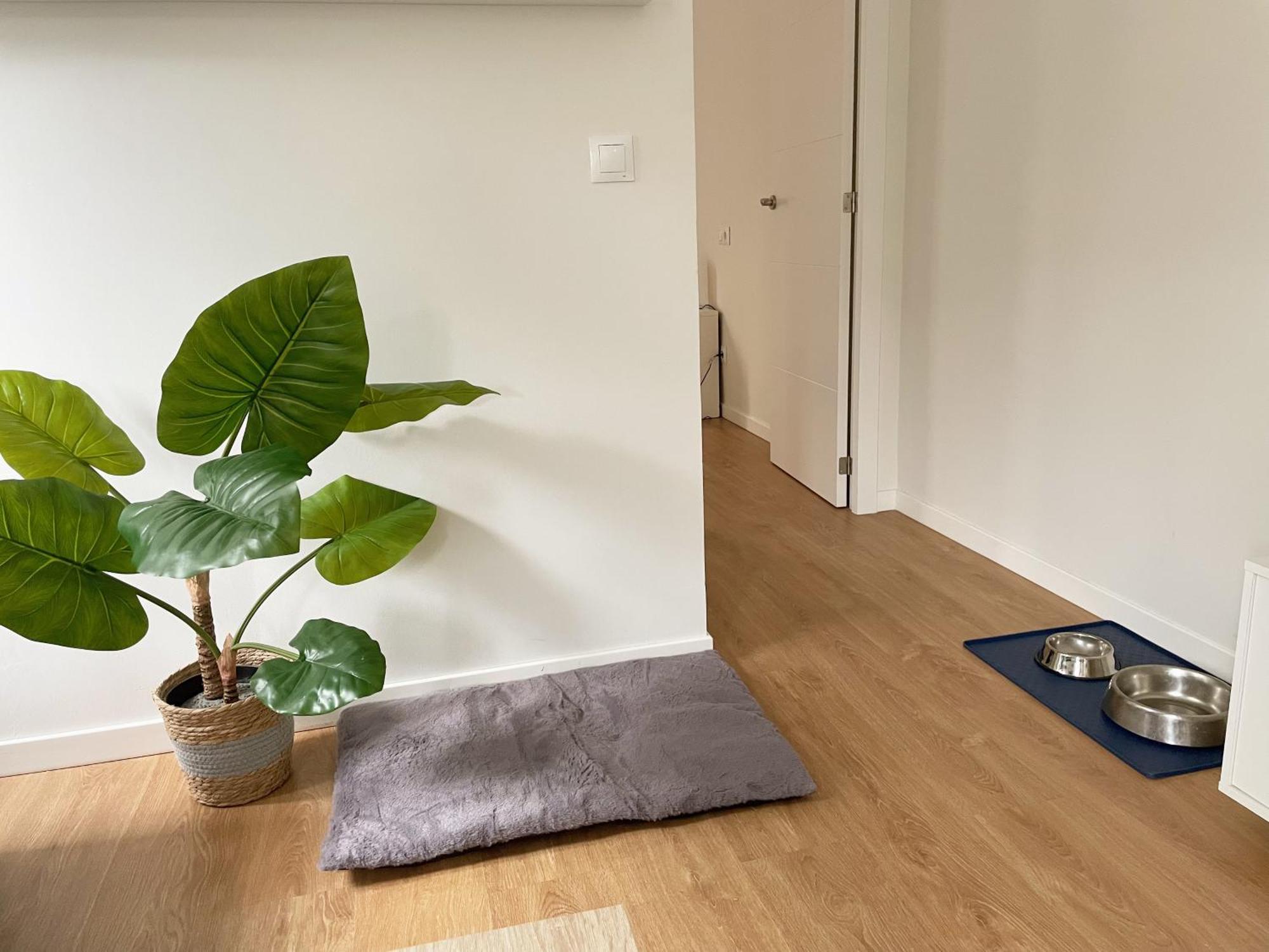 Apartmán Entre Playa Y Ocio Santander Exteriér fotografie